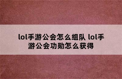 lol手游公会怎么组队 lol手游公会功勋怎么获得